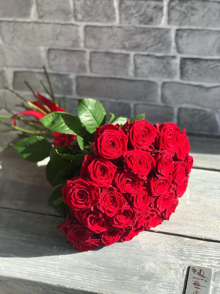 Букет Красные розы Фридом в Сапогово