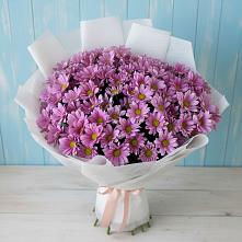 Букет цветов из:  Хризантемы в Сапогово