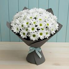 Букет цветов из:  Хризантемы в Сапогово